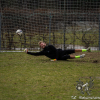 dsc09584 2023-03-09 20_24_01